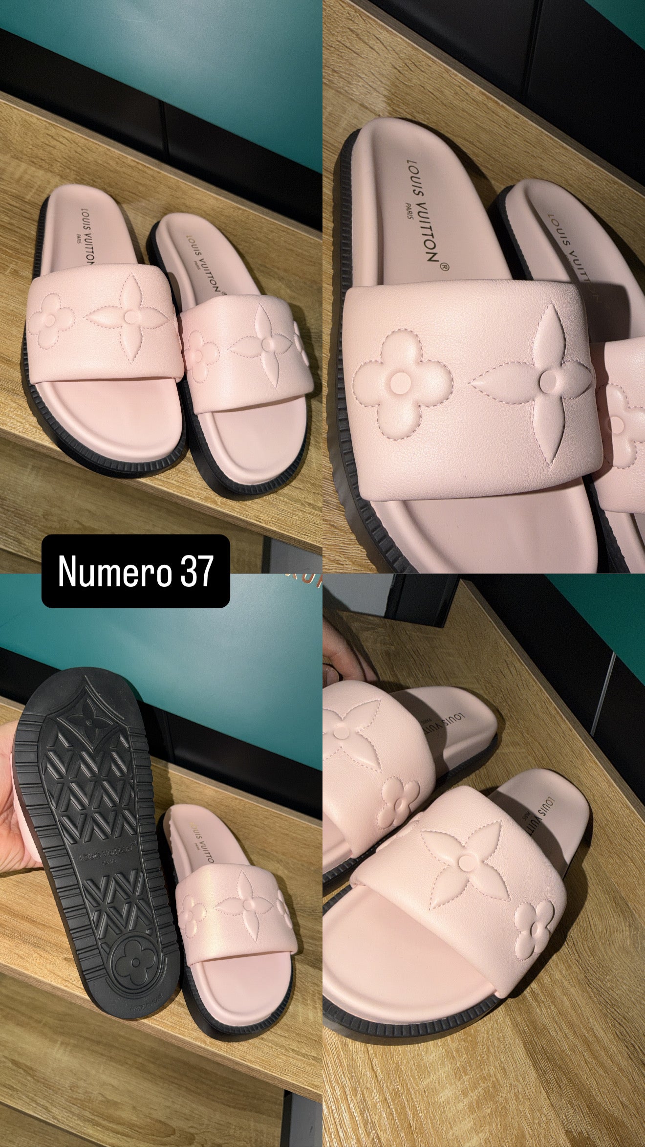 Pantofola rosa Lv