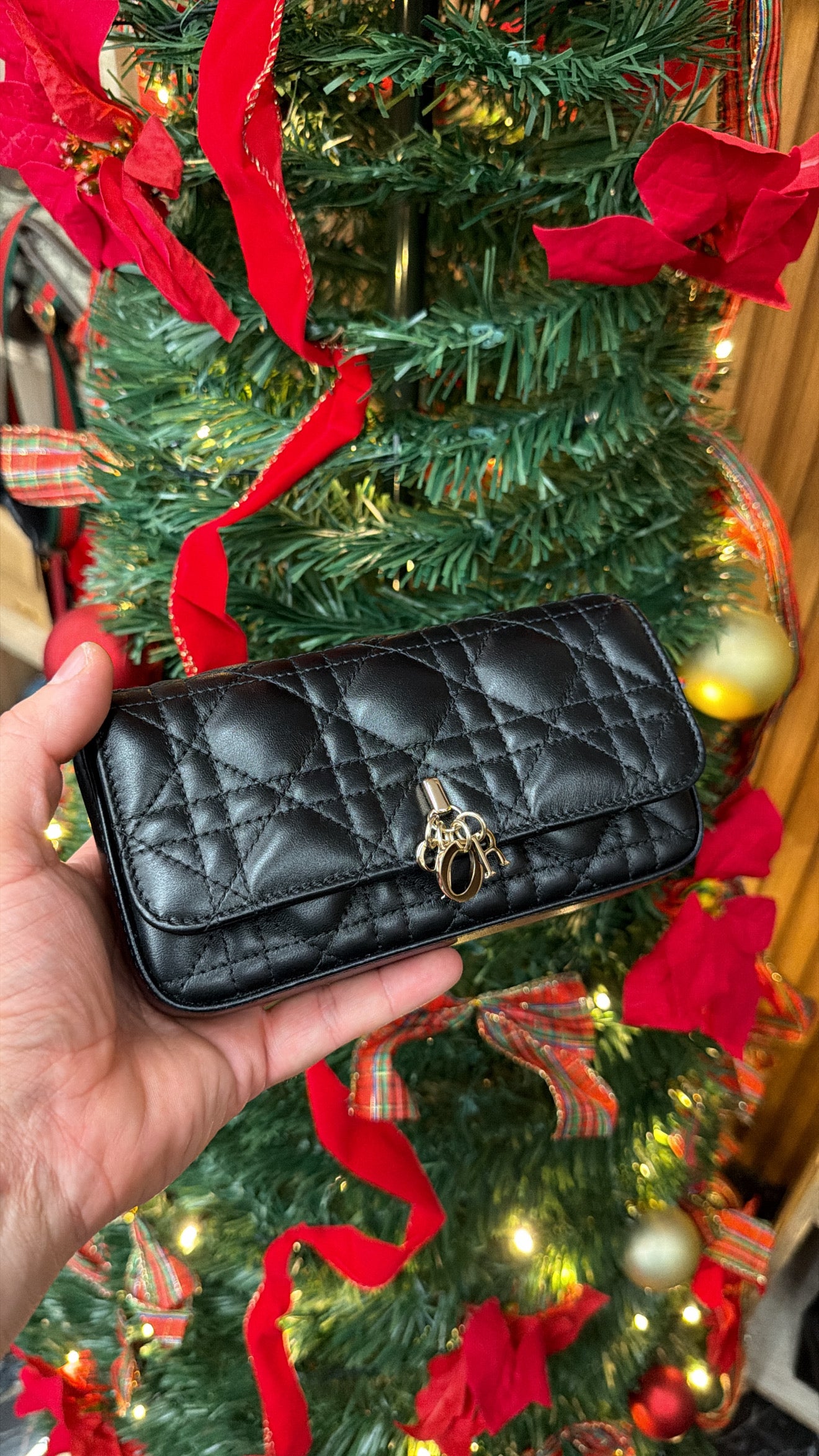 Pochette Dior Bianca con catena