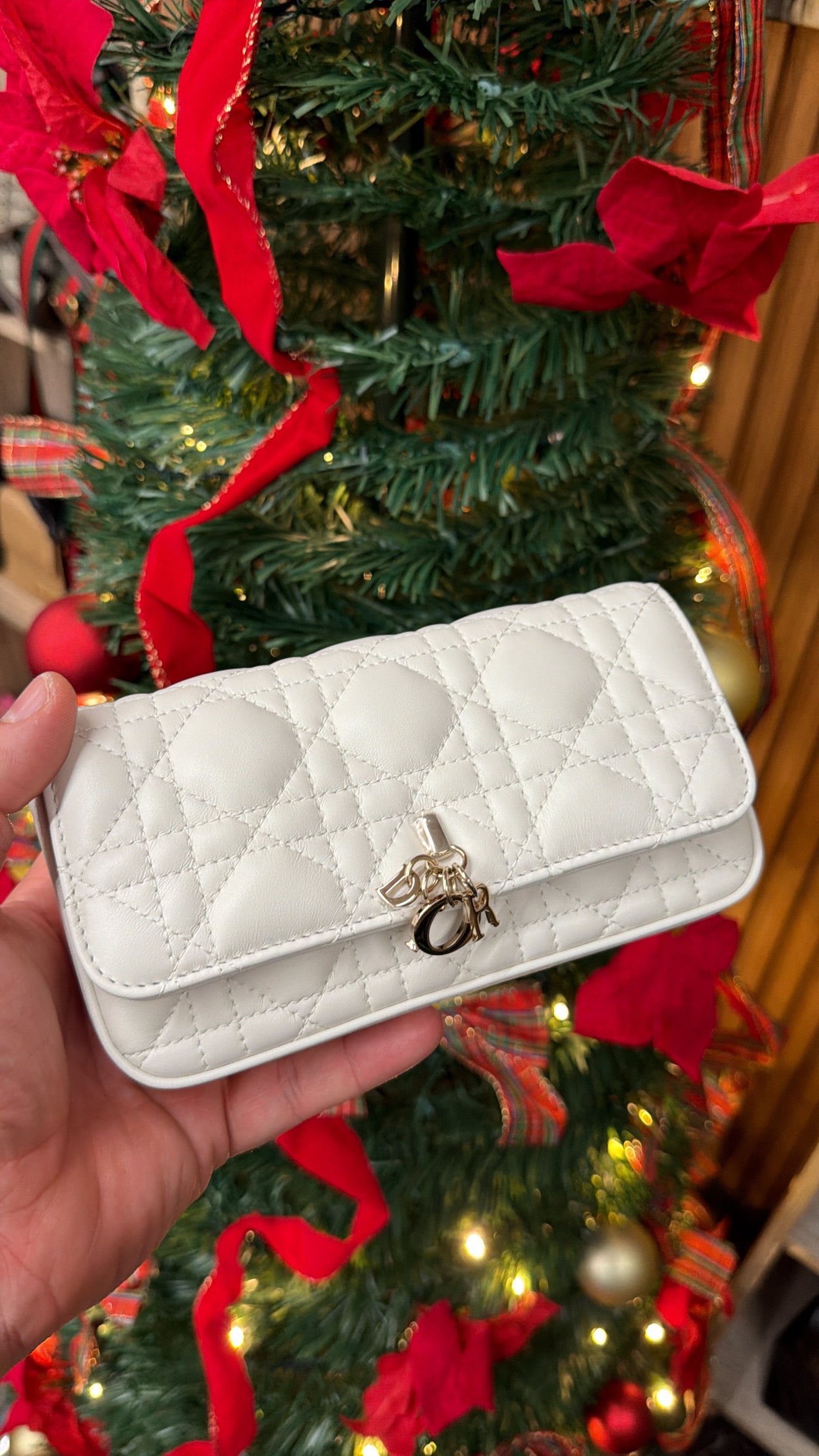 Pochette Dior Bianca con catena