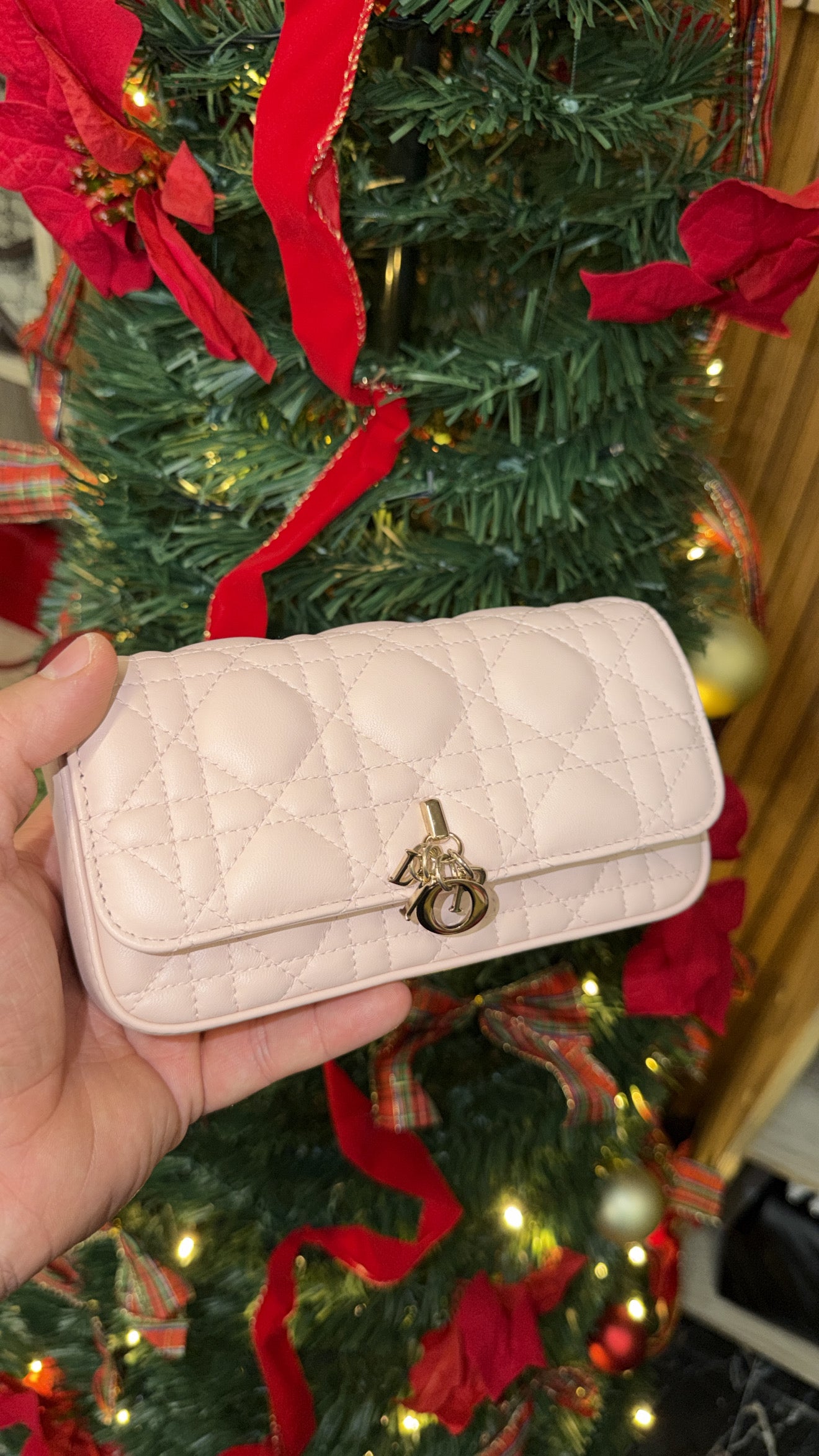 Pochette Dior Bianca con catena